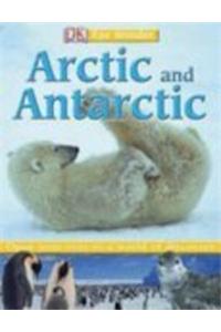 Arctic And Antarctic