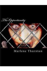 The Opportunity