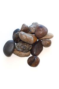 Vacation Bible School (Vbs) 2019 Whooosh River Rocks (Pkg of 24): Take Flight to Where God Leads You!