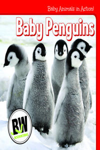 Baby Penguins