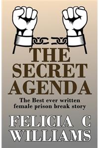 The Secret Agenda by Felicia C Williams
