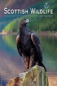 SCOTTISH WILDLIFE SQUARE WALL CALENDAR 2