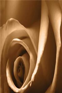 Journal Delicate Pretty Rose