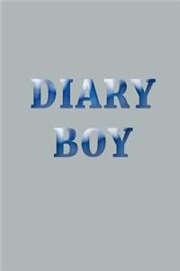 Diary Boy