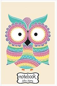 Multicolor Owl Art Notebook