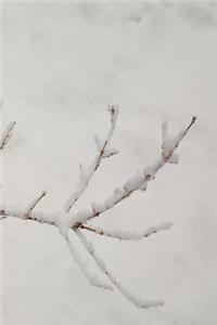Winter Journal Pretty Branch