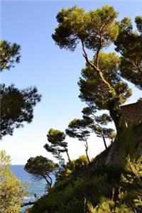 A View Through the Trees to the Sea Beach Vacation Journal