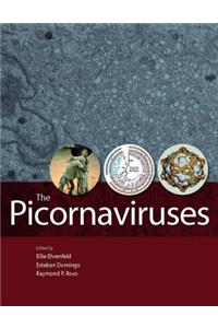 The Picornaviruses