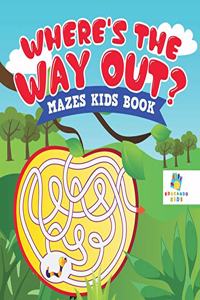 Where's the Way Out? Mazes Kids Book