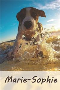 Marie-Sophie