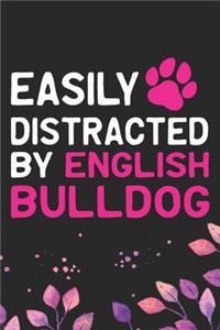 Easily Distracted by English Bulldog