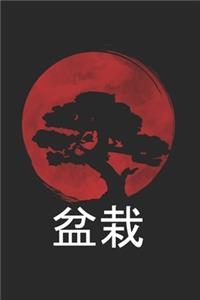 Bonsai Notizbuch