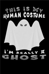 this is my human costume i'm really a ghost