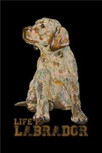 Life Is Labrador