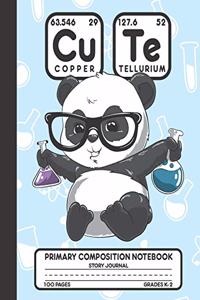 Primary Composition Notebook Story Journal