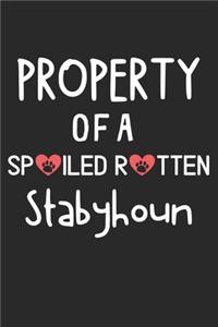 Property Of A Spoiled Rotten Stabyhoun
