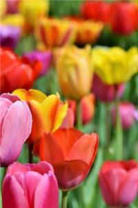 Tulips Notebook