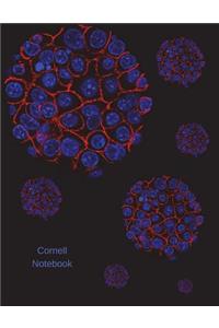 Cornell Notebook