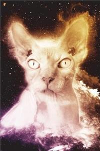 Hairless Cat Notebook (Vol 1)