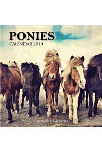 Ponies Calendar 2019