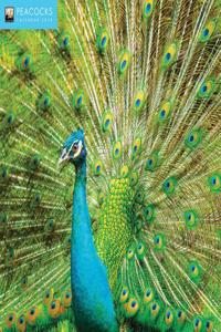 Peacocks Wall Calendar 2018 (Art Calendar)