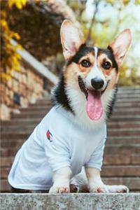 Corgi Notebook