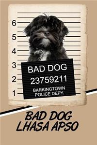 Bad Dog Lhasa Apso