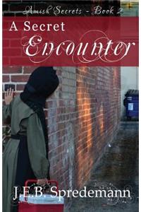 Secret Encounter (Amish Secrets #2)