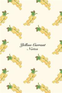 Yellow Currant Notes