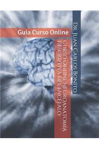 Curso Online Neuroanatomía Descriptiva del Encéfalo