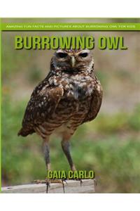 Burrowing Owl