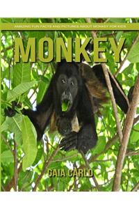 Monkey