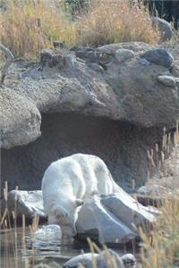 White Wolves Notebook