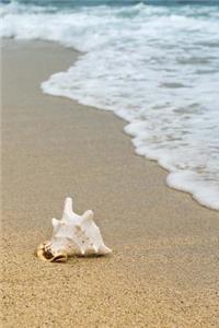Seashell on the Beach Journal