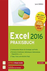 Excel 2016 Praxisbuch