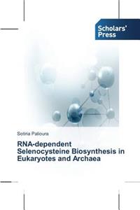 RNA-dependent Selenocysteine Biosynthesis in Eukaryotes and Archaea