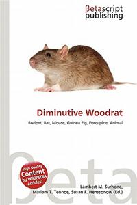 Diminutive Woodrat
