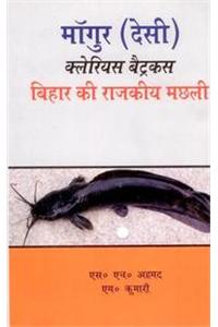 Mangur (Desi) Clarias Batrachus: Bihar Ke Rajkeeya Machali