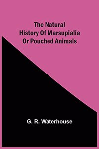 Natural History Of Marsupialia Or Pouched Animals