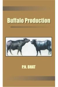 Buffalo Production