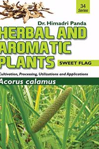 Herbal and Aromatic Plants34. Acorus Calamus (Sweet Flag)