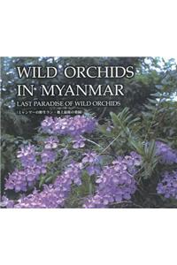 Wild Orchids in Myanmar Vol. 1