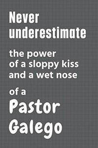 Never underestimate the power of a sloppy kiss and a wet nose of a Pastor Galego