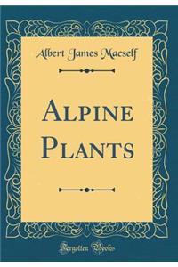 Alpine Plants (Classic Reprint)