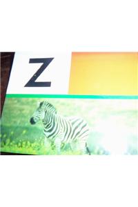 PM Collection Alphabet Starters: Alphabet Starters Letter Z