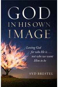 God In His Own Image