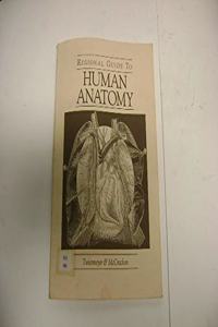 Regional Guide to Human Anatomy