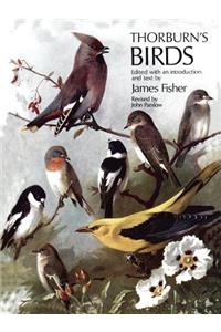 Thorburn's Birds