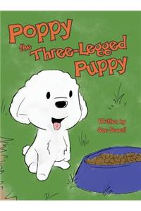 Poppy the Three-Legged Puppy