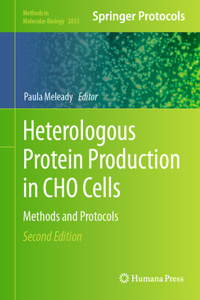Heterologous Protein Production in Cho Cells